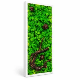 Tablou vertical cu licheni verzi, trei conuri și ramură decorativă, 70×30 cm, ramă albă – vedere din stânga