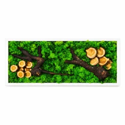 Tablou orizontal cu licheni verzi, rondele și ramuri de lemn, 70×30 cm, ramă albă – vedere frontală