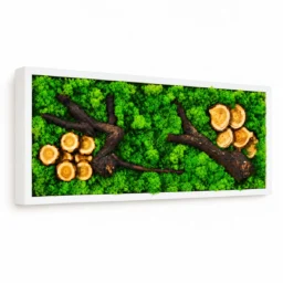 Tablou orizontal cu licheni verzi, rondele și ramuri de lemn, 70×30 cm, ramă albă – vedere din stânga