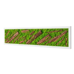 Tablou orizontal cu licheni verzi, scoarță naturală și ramă albă, 100x30 cm, vedere din dreapta