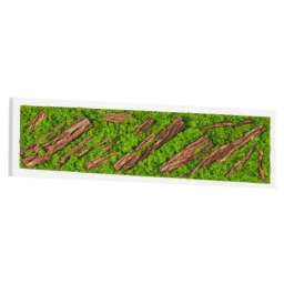 Tablou orizontal cu licheni verzi, scoarță naturală și ramă albă, 100x30 cm, vedere din stânga