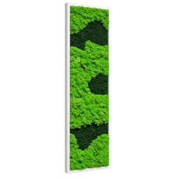 Tablou vertical îngust cu licheni în două nuanțe de verde și ramă albă, 100x40 cm, vedere din stânga