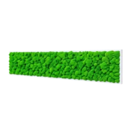 Tablou orizontal cu licheni verde intens pe suport alb subțire, 100x30 cm, vedere din dreapta