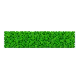 Tablou orizontal cu licheni verde intens pe suport alb subțire, 100x30 cm, vedere frontală