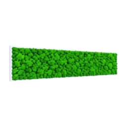 Tablou orizontal cu licheni verde intens pe suport alb subțire, 100x30 cm, vedere din stânga