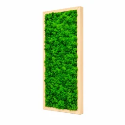 Tablou vertical cu licheni verzi 70×30 cm în ramă din lemn natur, vedere din dreapta