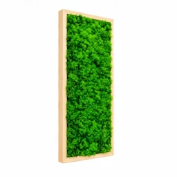 Tablou vertical cu licheni verzi 70×30 cm în ramă din lemn natur, vedere din stânga