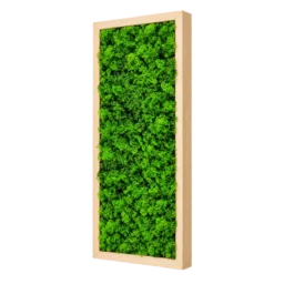 Tablou vertical cu licheni verzi și ramă din lemn natur, 70×30 cm, vedere din dreapta