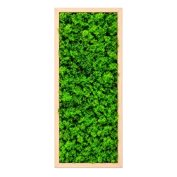 Tablou vertical cu licheni verzi și ramă din lemn natur, 70×30 cm, vedere frontală