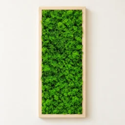 Tablou vertical cu licheni verzi în ramă din lemn natur, 70×30 cm, montat pe perete