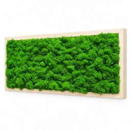 Tablou orizontal cu licheni verzi și ramă din lemn natur, 70x30 cm, văzut din dreapta
