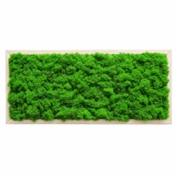 Tablou orizontal cu licheni verzi și ramă din lemn natur, 70x30 cm, vedere frontală