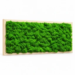 Tablou orizontal cu licheni verzi și ramă din lemn natur, 70x30 cm, văzut din stânga