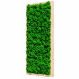 Tablou vertical cu licheni verzi și ramă din lemn natur, 70x30 cm, văzut din dreapta