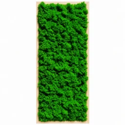 Tablou vertical cu licheni verzi și ramă din lemn natur, 70x30 cm, vedere frontală