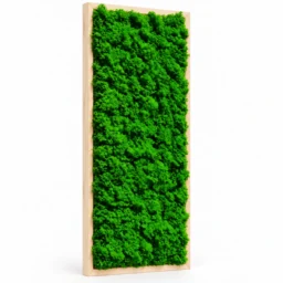 Tablou vertical cu licheni verzi și ramă din lemn natur, 70x30 cm, văzut din stânga