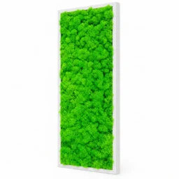 Tablou vertical cu licheni verde deschis și ramă albă, 70x30 cm, văzut din dreapta