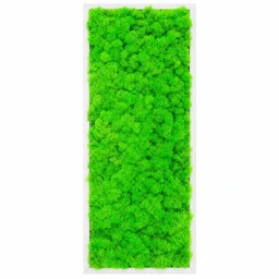 Tablou vertical cu licheni verde deschis și ramă albă, 70x30 cm, vedere frontală
