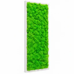 Tablou vertical cu licheni verde deschis și ramă albă, 70x30 cm, văzut din stânga