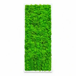 Tablou vertical cu licheni verzi pe suport alb, 70x30 cm, vedere frontală