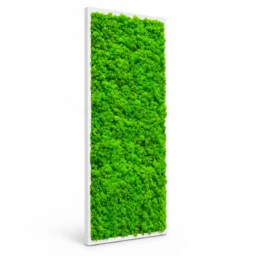 Tablou vertical cu licheni verzi pe suport alb, 70x30 cm, văzut din stânga