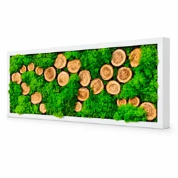 Tablou orizontal cu licheni verzi și 23 de rondele din lemn, 70×30 cm, ramă albă – vedere din dreapta