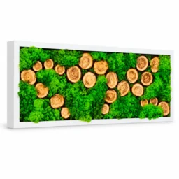 Tablou orizontal cu licheni verzi și 23 de rondele din lemn, 70×30 cm, ramă albă – vedere din stânga