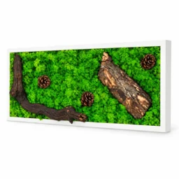 Tablou orizontal cu licheni verzi, scoarță și trei conuri, 70×30 cm, ramă albă – vedere din dreapta