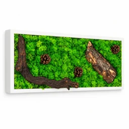 Tablou orizontal cu licheni verzi, scoarță și trei conuri, 70×30 cm, ramă albă – vedere din stânga
