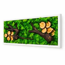 Tablou orizontal cu licheni verzi, rondele și ramuri de lemn, 70×30 cm, ramă albă – vedere din dreapta