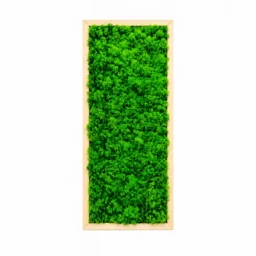 Tablou vertical cu licheni verzi 70×30 cm în ramă din lemn natur, vedere frontală