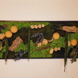 tablou cu licheni tablou din licheni tablouri cu licheni tablouri din licheni