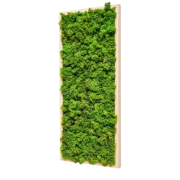 Panou vertical cu licheni stabilizați verzi și ramă din lemn natur, 70x30 cm, vedere din dreapta