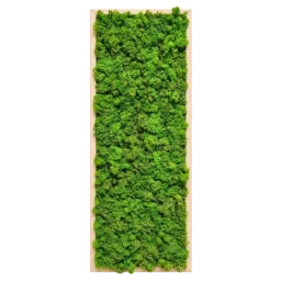 Panou vertical cu licheni stabilizați verzi și ramă din lemn natur, 70x30 cm, vedere frontală