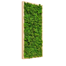Panou vertical cu licheni stabilizați verzi și ramă din lemn natur, 70x30 cm, vedere din stânga