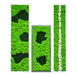 Set de trei tablouri verticale cu licheni verde deschis, zone verde închis și bandă albă, vedere frontală