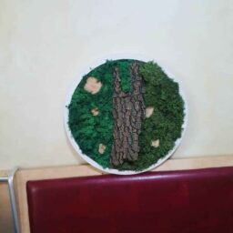 tablou cu licheni tablou din licheni tablouri cu licheni tablouri din licheni