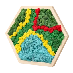 Hexagon cu licheni stabilizați verzi, galbeni, roșii și albaștri, ramă lemn natur, 30x40 cm, vedere din dreapta