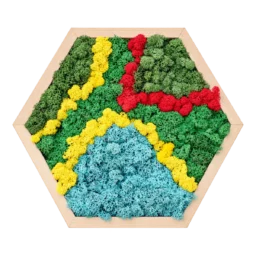 Hexagon cu licheni stabilizați verzi, galbeni, roșii și albaștri, ramă lemn natur, 30x40 cm, vedere frontală