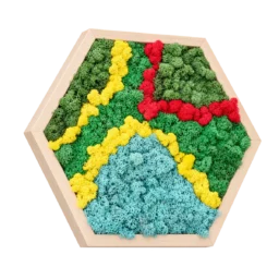 Hexagon cu licheni stabilizați verzi, galbeni, roșii și albaștri, ramă lemn natur, 30x40 cm, vedere din stânga