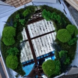 tablou cu licheni tablou din licheni tablouri cu licheni tablouri din licheni