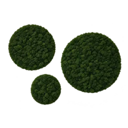Set de trei cercuri cu licheni stabilizați verde închis, diametre 70, 50 și 30 cm, vedere frontală