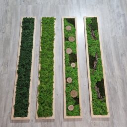 tablou cu licheni tablou din licheni tablouri cu licheni tablouri din licheni