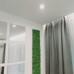 tablou cu licheni tablou din licheni tablouri cu licheni tablouri din licheni