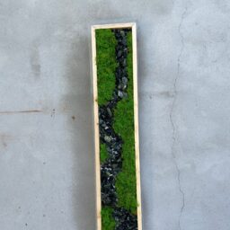 tablou cu licheni tablou din licheni tablouri cu licheni tablouri din licheni