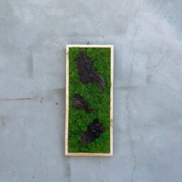 tablou cu licheni tablou din licheni tablouri cu licheni tablouri din licheni