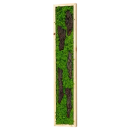 Panou vertical cu licheni verzi și cinci bucăți de scoarță, ramă lemn natur, 100x20 cm, vedere din dreapta
