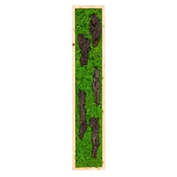 Panou vertical cu licheni verzi și cinci bucăți de scoarță, ramă lemn natur, 100x20 cm, vedere frontală