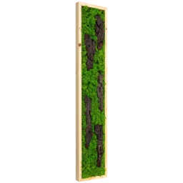 Panou vertical cu licheni verzi și cinci bucăți de scoarță, ramă lemn natur, 100x20 cm, vedere din stânga