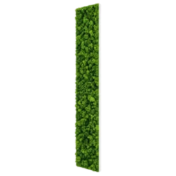 Panou vertical cu licheni stabilizați verzi 100x20 cm, vedere din dreapta